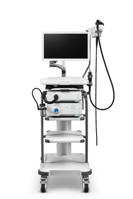 VIST Diberdayakan Endoskopi Definisi Tinggi 24 Inch HD-500