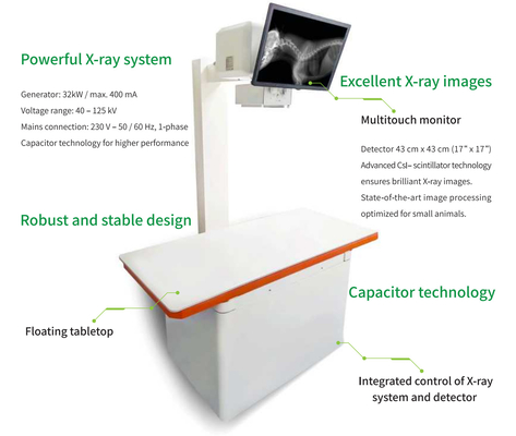 Sistem X-Ray DR Veterinary 40 - 125KV Fokus sepenuhnya pada hewan