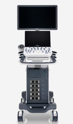 Good price Sistem Ultrasound Doppler Warna Digital P20 Dibangun Di Baterai on line